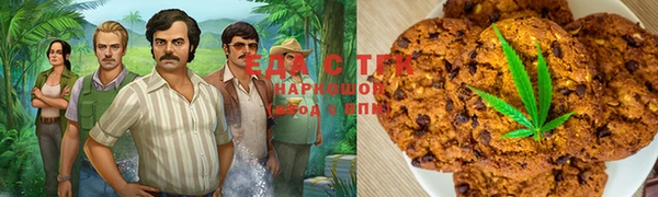 шишки Богородицк