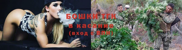 шишки Богородицк